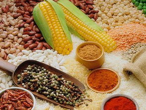 備孕須知 常吃三種助排卵食物，助力好孕降臨